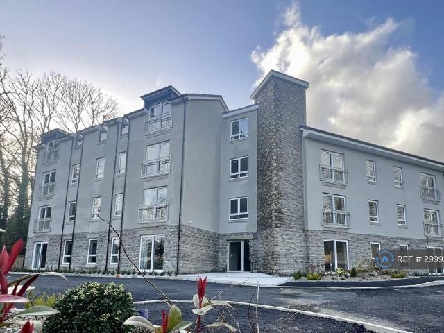 Bronwydd Road, Carmarthen, SA31 1 bed flat to rent £1,050 pcm £242 pw