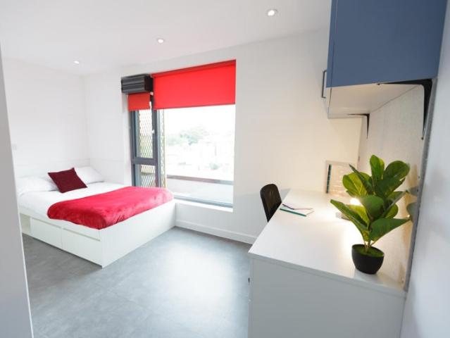 Bronze Studio at AXO New Cross Students Only