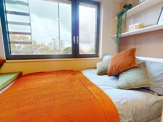Bronze Studio Plus to let at iQ Paris Gardens, 6 Paris Garden, Southwark, London, SE1 8DJ | Accommodation for Students