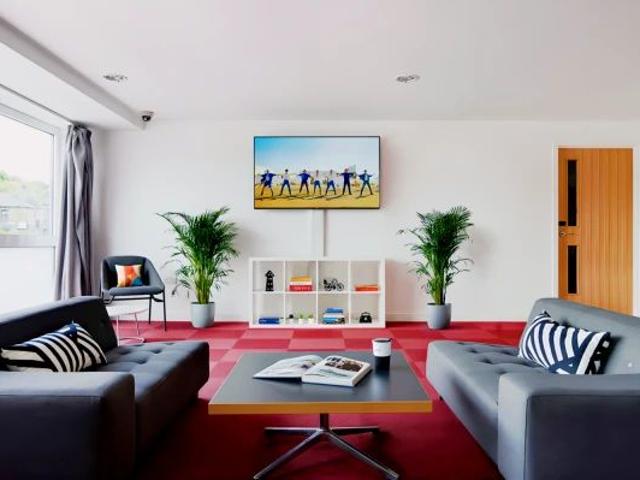 Bronze Studio Single Occupancy