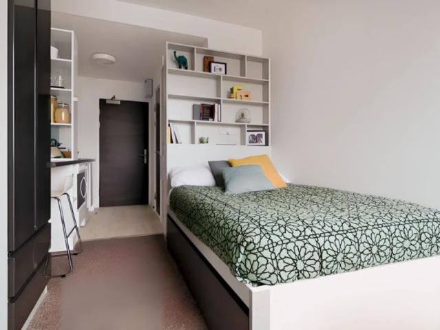 Bronze Studio Single Occupancy