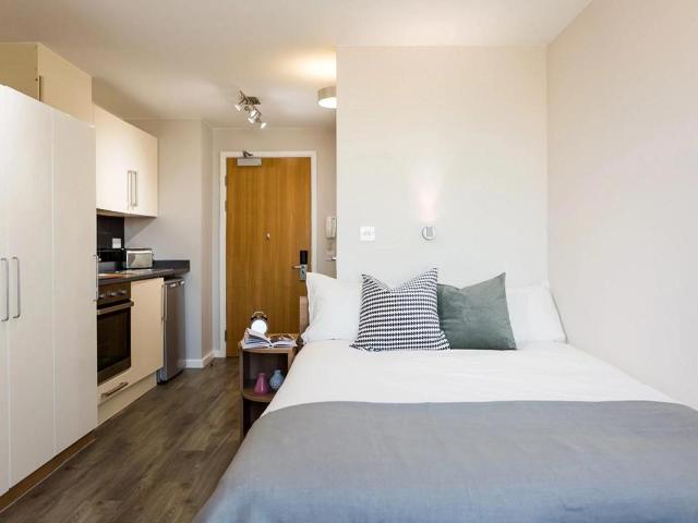 Bronze Studio Upper Level Premium View Has an Apartment
