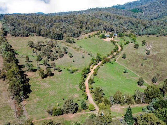 Brackenridge 100 Acres of Lifestyle, Privacy & Natural Beauty