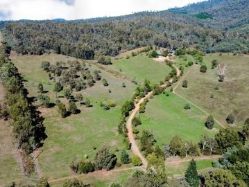 Brackenridge 100 Acres of Lifestyle, Privacy & Natural Beauty