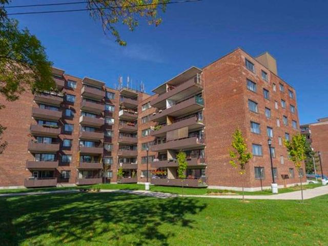 Brad Benson Has an Apartment