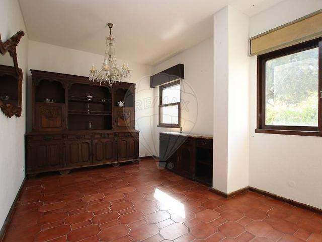 Braga, Braga 4800 010