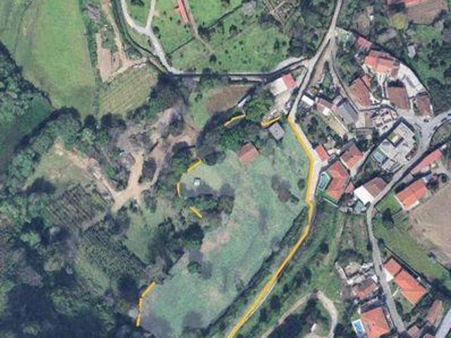 Braga Braga 98378265