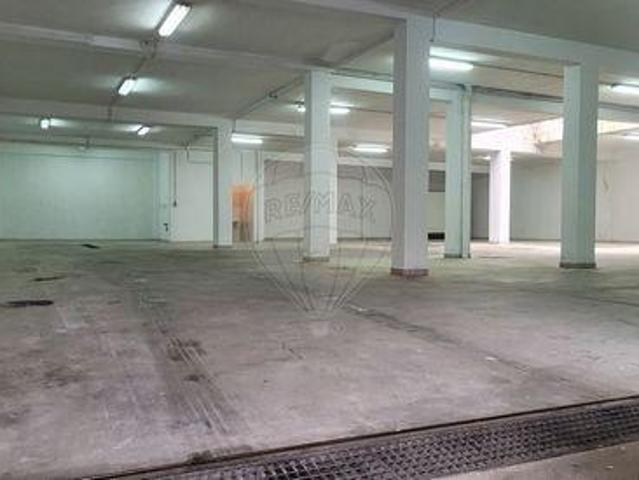 Braga Braga 100020203
