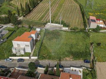 Braga Braga 101797311