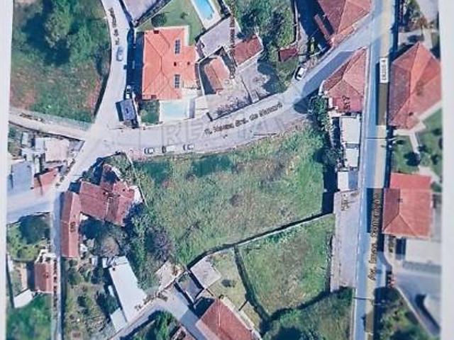 Braga Braga 102221959
