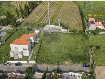 Braga Braga 103015964