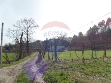 Braga Braga 103112337
