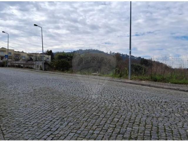 Braga Braga 104655903