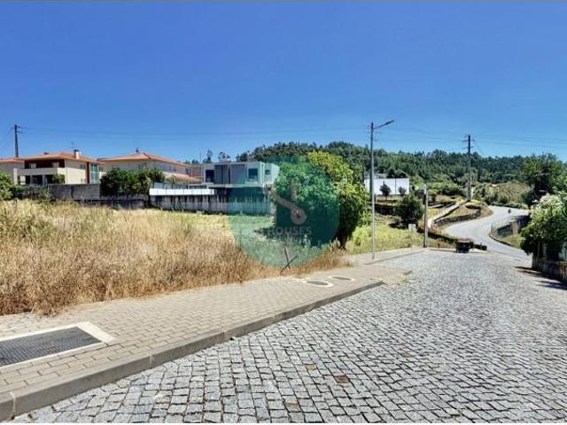 Braga Braga 104919820