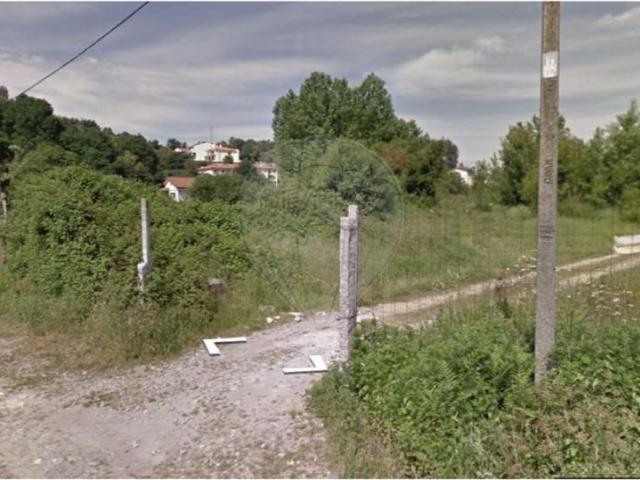 Braga Braga 105096497