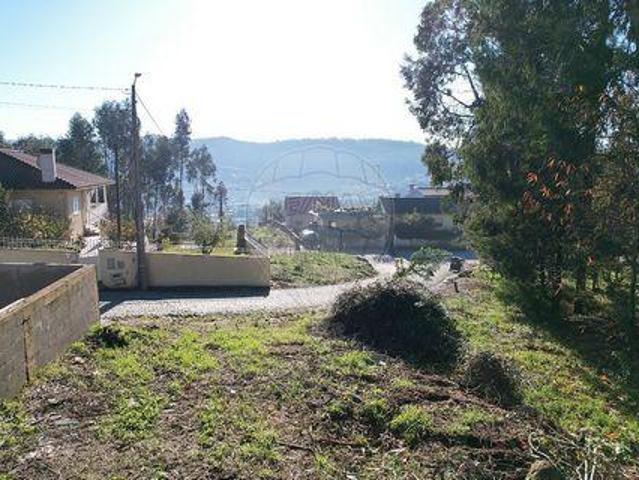 Braga Braga 105273083