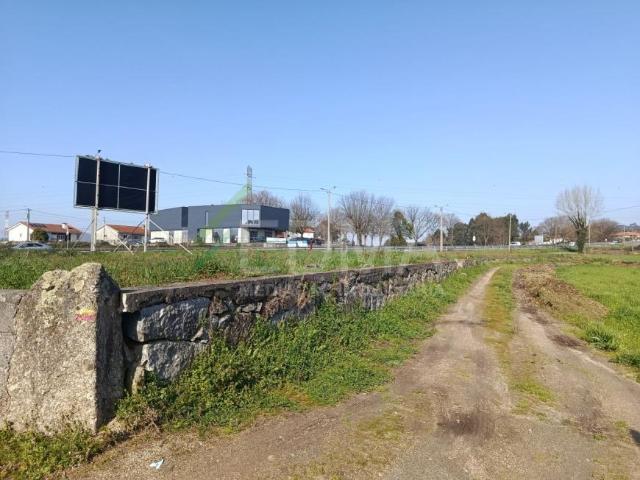 Braga Guimarães 4765 99974610