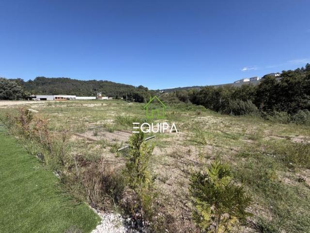 Braga Guimarães 4835 105410937