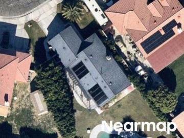 Brahea Ct
