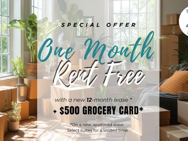 Brampton Apartments for Rent 53 McMurchy Ave N