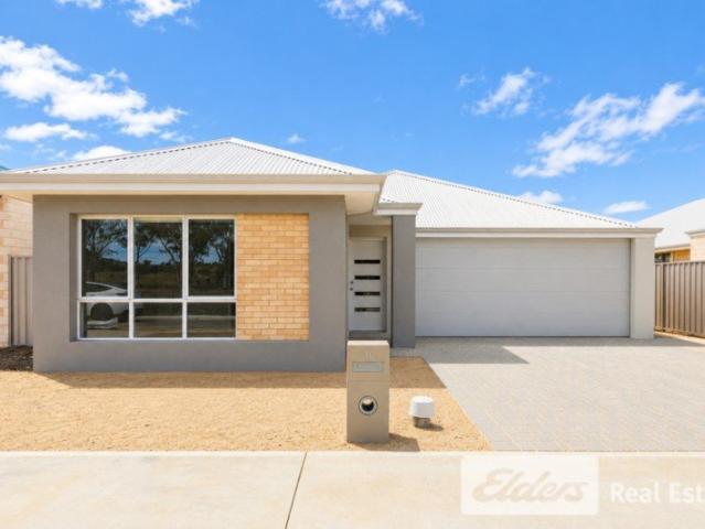Brand New 3 x 2 Close to Freeway!