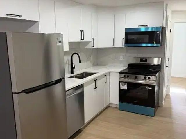 Brand new 1 bedroom lower unit