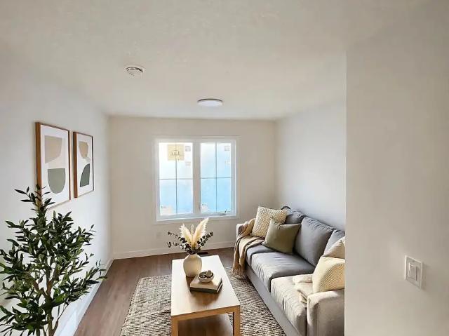 Brand New 2 Bed Garage Suite – Dovercourt | In Suite Laundry + Parking
