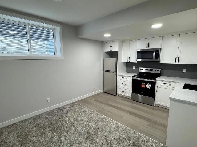 Brand New 2 Bedroom Legal Basement Suite, within 1 km from amenities, in Seton
