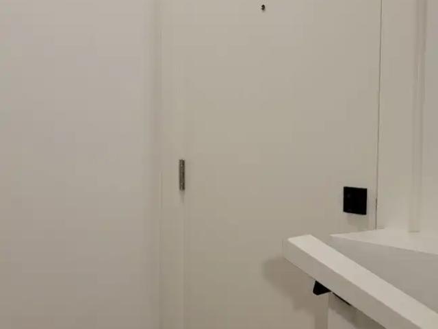 Brand new 2 bedrooms basement suite