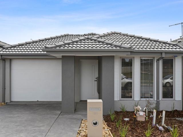 Brand New 4 Bedroom Family Home for Rent