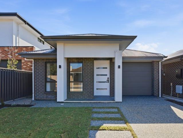 Brand New 4 Bedroom Family Home in Convenient Netley Location