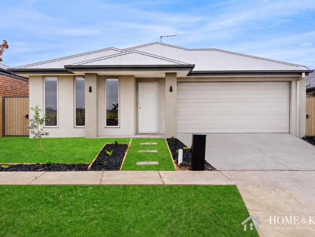 Brand New 4 Bedroom Home !