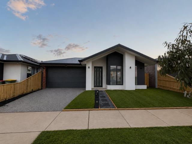 Brand New 4 Bedroom Home!
