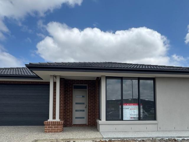 Brand New 4 Bedroom Home for Rent – Prime Location, Opposite Ngarri Primary School, Close to Shops, Transport, & a Huge Low Maintenance Backyard