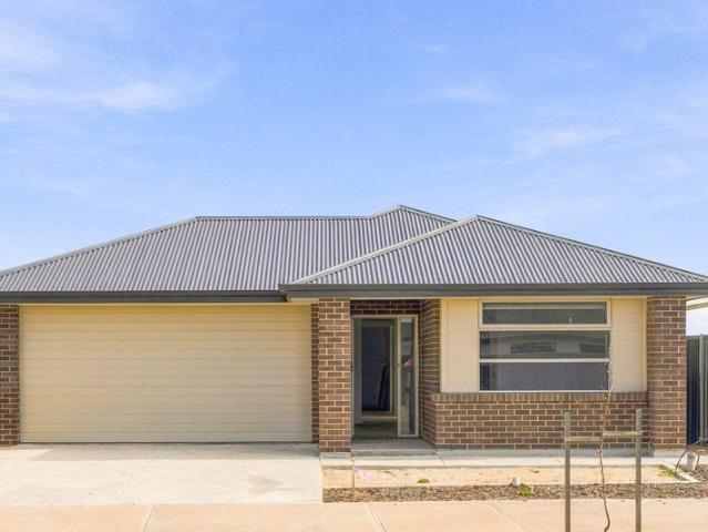 Brand New 4 Bedroom Home with Double Garage & Alfresco Living!