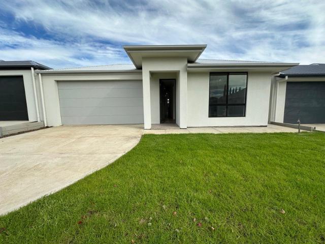 Brand New 4 Bedroom Home with Premium Finishes!