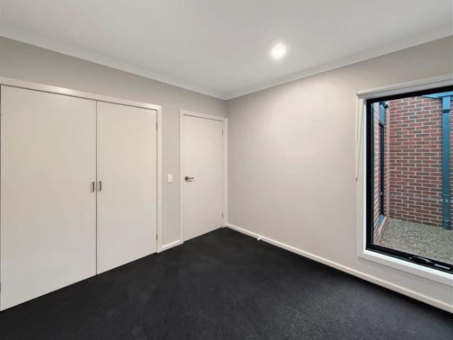 Brand New 4 Bedroom House in Thornhill Park