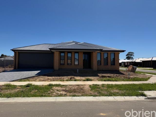 Brand New Comfort, Modern Living