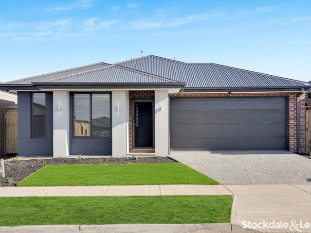 Brand New Contemporary Family Home in Prime Woodstock Location