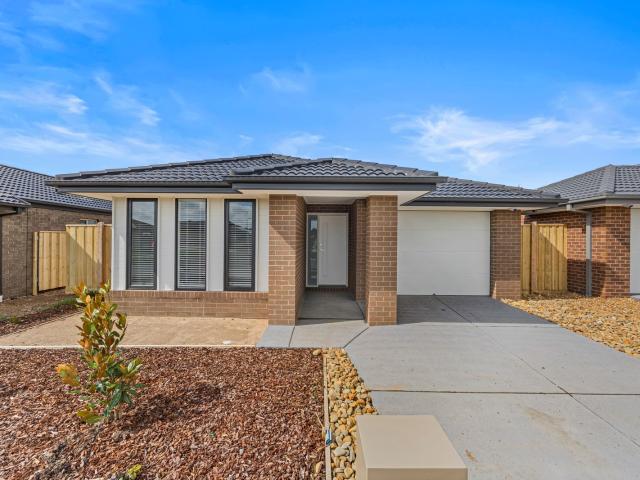Brand new contemporary four bedroom with amazing back yard