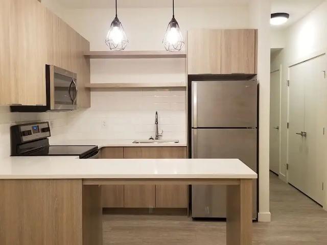 BRAND NEW CUSTOM HOME! 2 bedroom basement suite in quiet neighbourhood