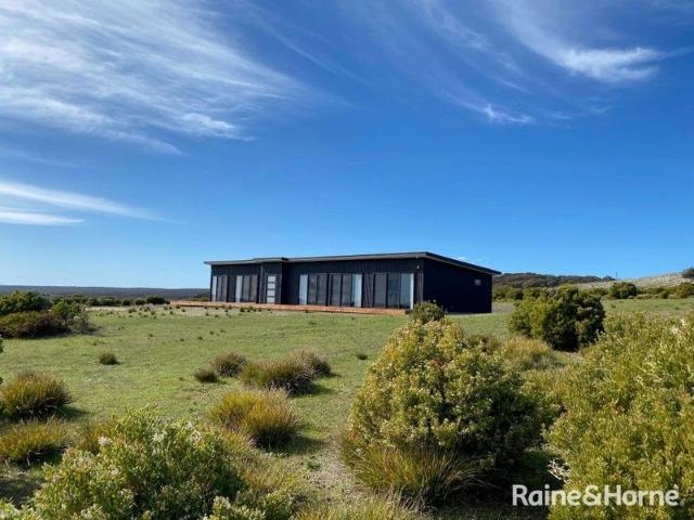 Brand New Custom Single Level Home with Premium Finishes