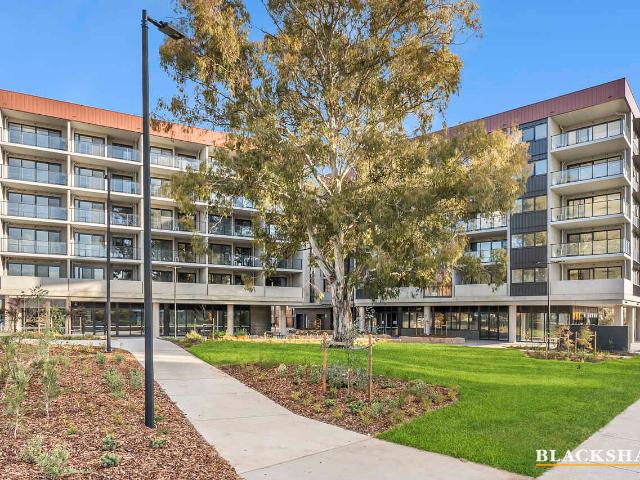 Brand New Apartment In Prime Location