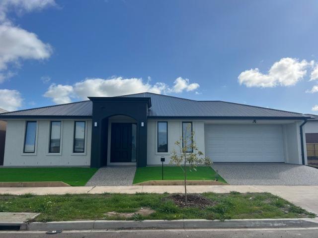 Brand New Beautiful Family Home