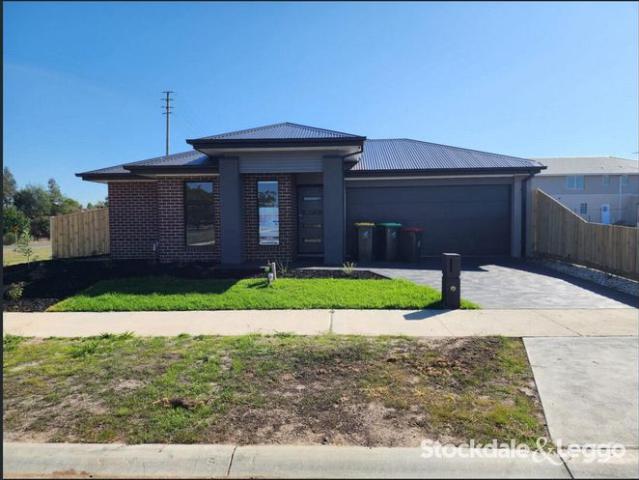 Brand new beautiful home!