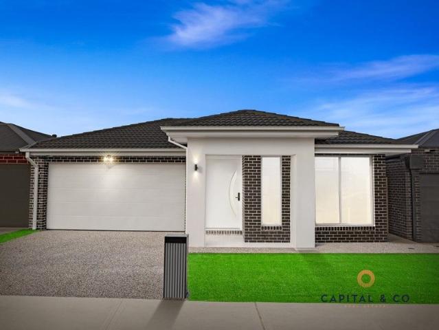 Brand New Designer Home