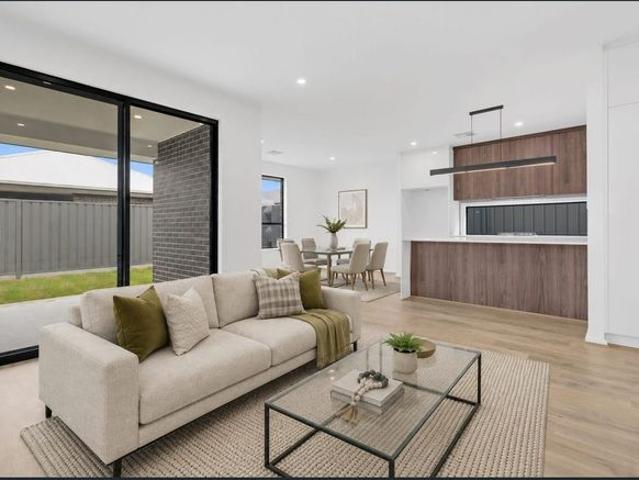 Brand New Designer Home!