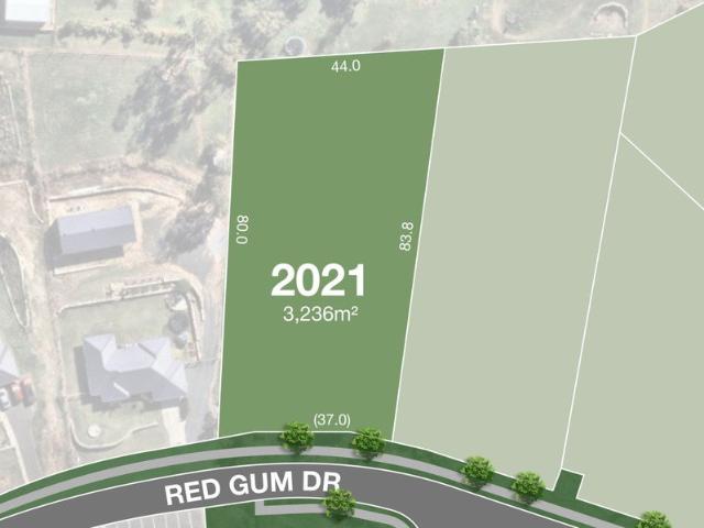 Brand New Estate Pastures at Gatton Land