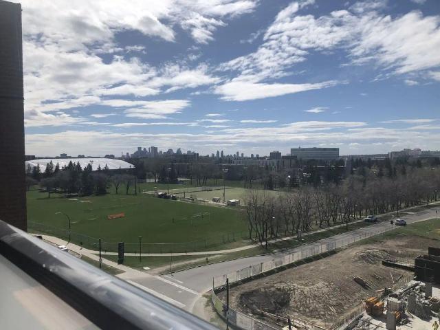 Brand NEW Executive one bedroom walk to University — 1 Bedroom Condo Unit