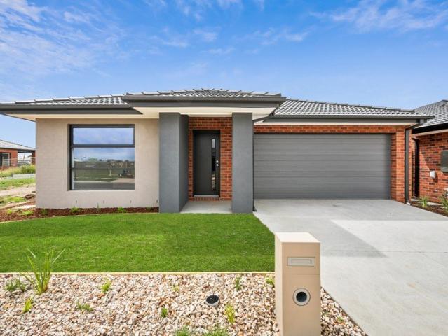 Brand New Family Abode, Ready to Move In
